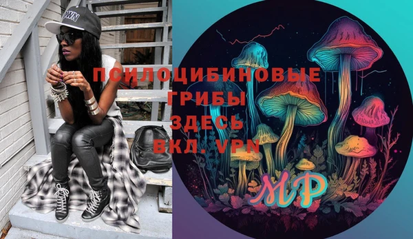 дживик Армянск