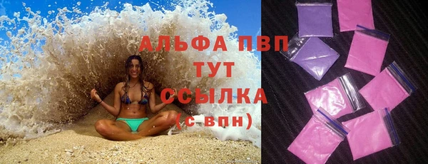 спайс Арсеньев
