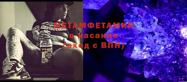 прущие грибы Балахна