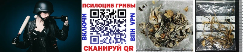 Псилоцибиновые грибы ЛСД  Балабаново 